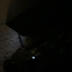 Meet your Posher, Marya